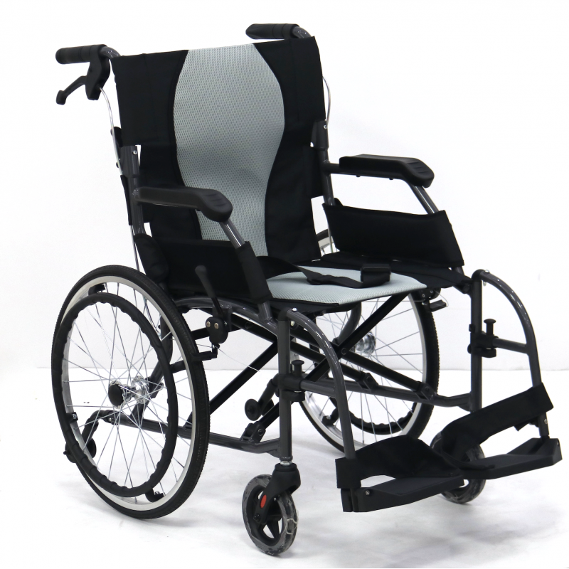 XE LĂN ERGO LIFE GBM-401B