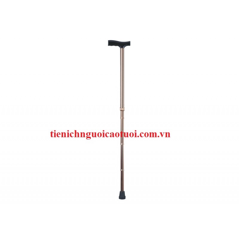 GẬY CHỐNG CHO NGƯỜI GIÀ 22 GẬY CHỐNG CHO NGƯỜI GIÀ 22